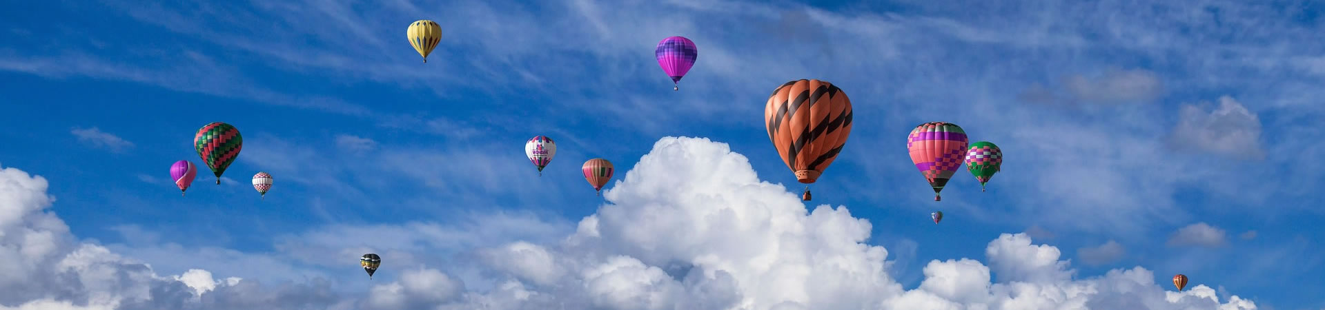 盛兴彩票直播网介绍